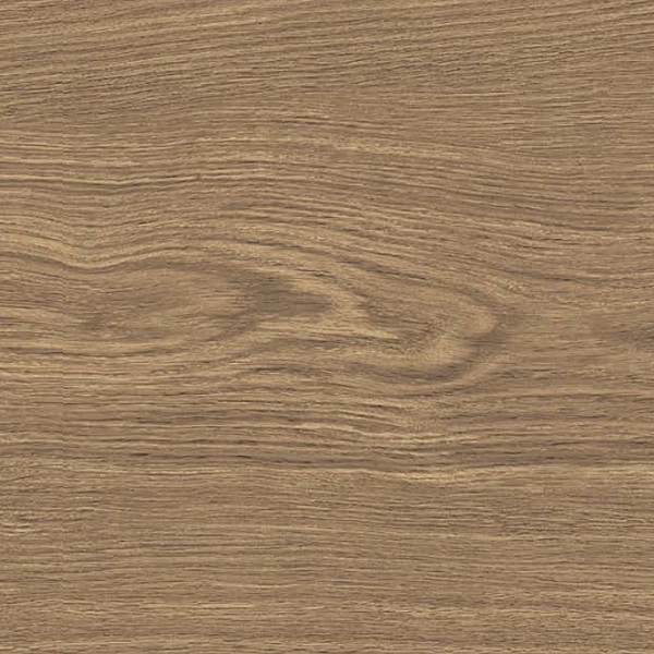 DOUGLAS6 2015 (1 сорт) - Фото - 2